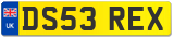 DS53 REX