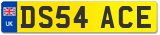 DS54 ACE