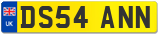 DS54 ANN