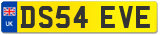 DS54 EVE