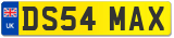 DS54 MAX