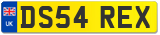 DS54 REX