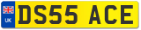 DS55 ACE