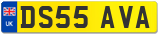 DS55 AVA