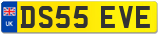 DS55 EVE