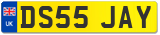 DS55 JAY