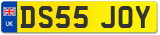 DS55 JOY