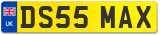 DS55 MAX