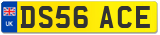 DS56 ACE