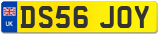 DS56 JOY