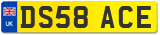 DS58 ACE