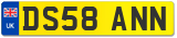 DS58 ANN