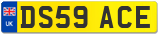 DS59 ACE