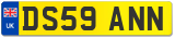 DS59 ANN