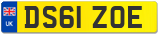 DS61 ZOE