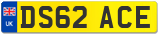 DS62 ACE