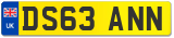 DS63 ANN