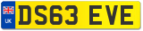 DS63 EVE