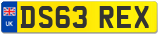 DS63 REX