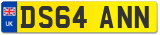 DS64 ANN