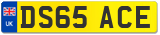 DS65 ACE