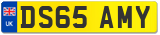 DS65 AMY