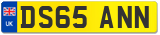 DS65 ANN