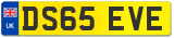 DS65 EVE