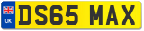 DS65 MAX