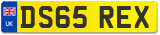 DS65 REX