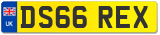 DS66 REX
