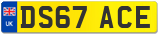 DS67 ACE