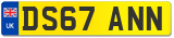 DS67 ANN