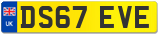 DS67 EVE