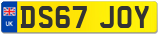 DS67 JOY