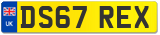 DS67 REX