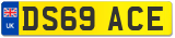 DS69 ACE