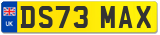 DS73 MAX