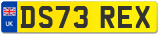 DS73 REX