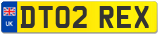 DT02 REX