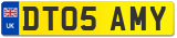 DT05 AMY