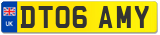 DT06 AMY