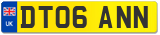 DT06 ANN