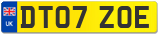 DT07 ZOE