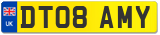 DT08 AMY