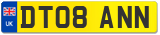 DT08 ANN