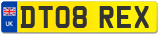 DT08 REX