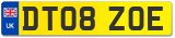 DT08 ZOE