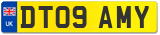 DT09 AMY