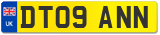 DT09 ANN